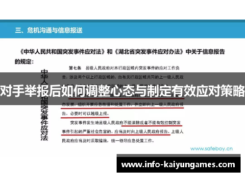 对手举报后如何调整心态与制定有效应对策略