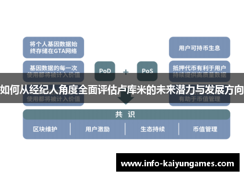 如何从经纪人角度全面评估卢库米的未来潜力与发展方向