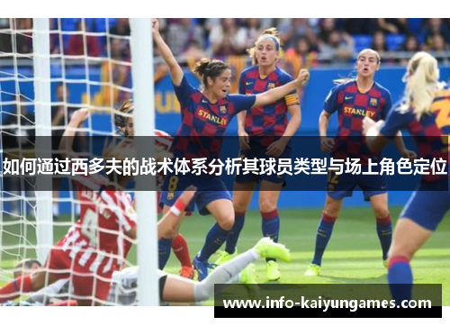 如何通过西多夫的战术体系分析其球员类型与场上角色定位