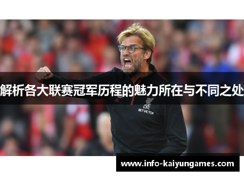 解析各大联赛冠军历程的魅力所在与不同之处 解析各大联赛冠军历程的魅力所在与不同之处