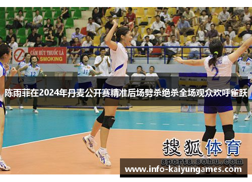 陈雨菲在2024年丹麦公开赛精准后场劈杀绝杀全场观众欢呼雀跃