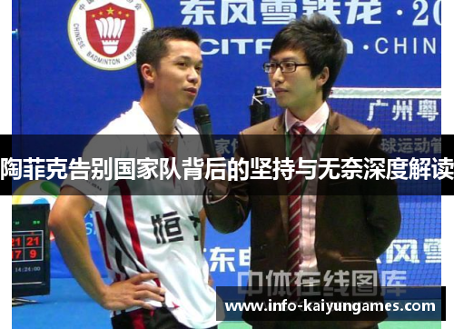 陶菲克告别国家队背后的坚持与无奈深度解读