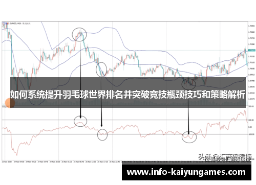 如何系统提升羽毛球世界排名并突破竞技瓶颈技巧和策略解析